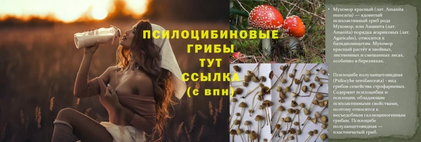 метадон Кодинск